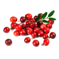 Саженцы клюквы