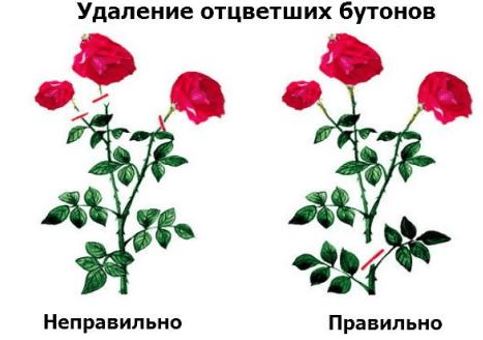 мм.JPG