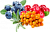 Саженцы редких плодовых и гибридных кустарников