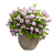 Дейция