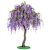 Глициния